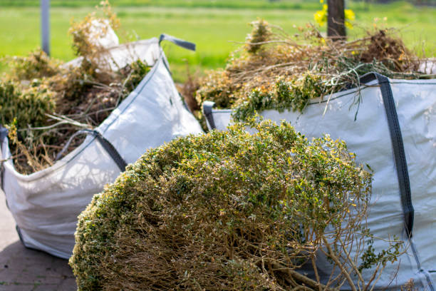 Best Carpet Removal and Disposal  in South Pekin, IL
